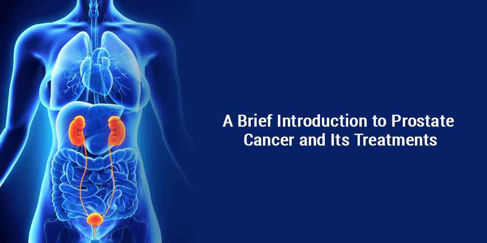 A Brief Introduction to Prostate Cancer and Its&nbsp;Treatments